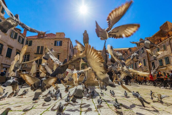 Guided Tour to discover Dubrovnik's Old Town, by day or night - Game of Thrones locations without losing the local story