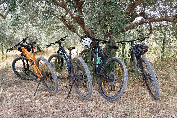 Half-Day Bike Tour in Lumbarda with Wine Tasting - An Hour of Wine, Food, and Island Traditions