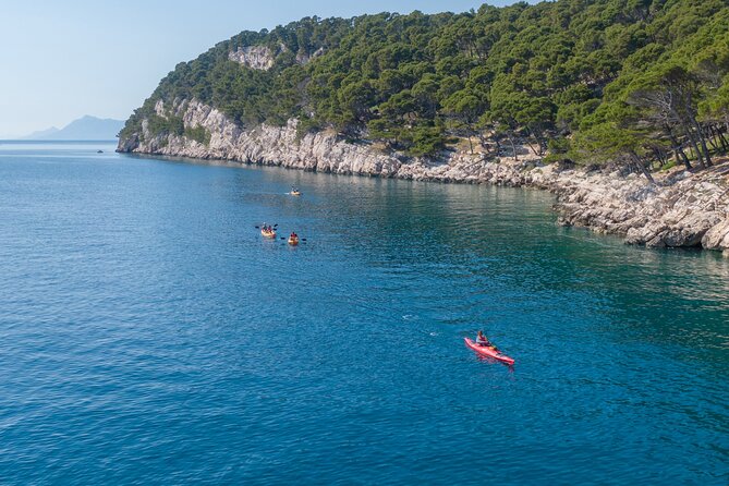 Half-Day Small-Group Kayaking Tour in Makarska - Who will enjoy this Makarska kayaking tour