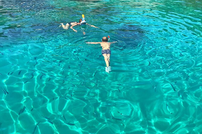 Half Day Speedboat Tour to Three Islands from Trogir - Maslinica on Šolta: A One-Hour Village Break