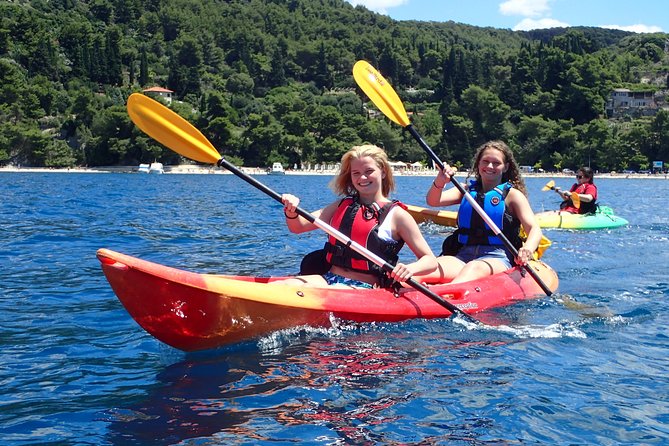 Half-Day Split Sea Kayak Adventure - What the guides add to the experience