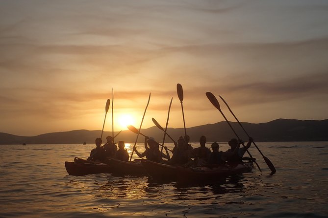 Half-Day Split Sea Kayak Adventure - Is $59.95 a fair price?