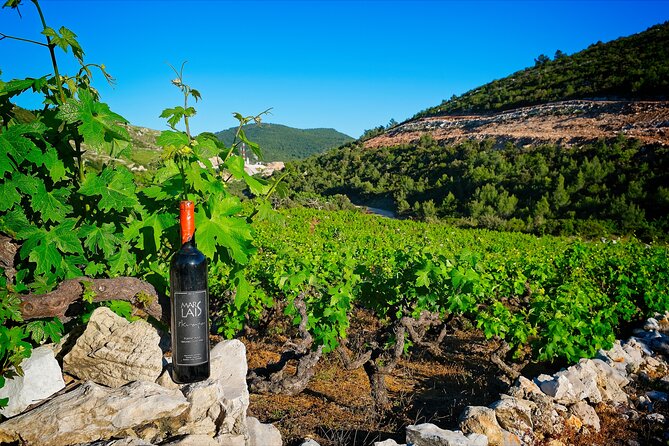 Half Day Tour - Deep and Dark Red Wine of Pelješac - A Private Ride from Dubrovnik