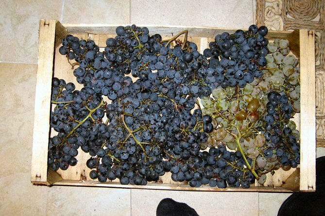 Half Day Tour - Deep and Dark Red Wine of Pelješac - My Booking Advice