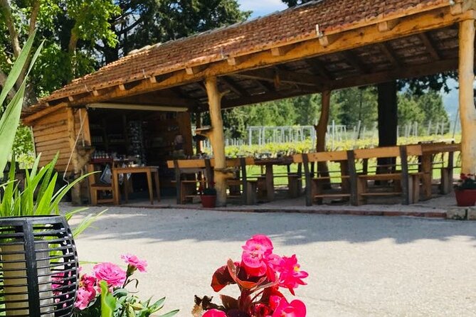 Half-Day Wine and Food Tasting from Dubrovnik - Homemade liquor and the Croatian finish