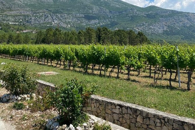 Half-Day Wine and Food Tasting from Dubrovnik - What the $120.94 price really covers