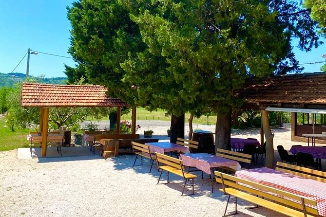 Half-Day Wine and Food Tasting from Dubrovnik - Group size, pace, and the feel of the afternoon
