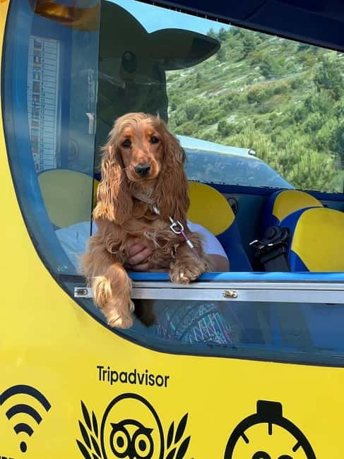 Hop-On Hop-Off Yellow Cabrio Tour: See Dubrovnik in 90mins - Comfort, access, and practical details