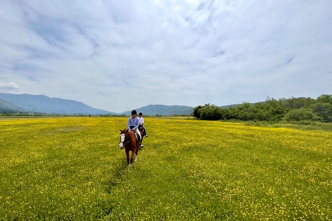 Horseback Riding Across River Ljuta with transport - Setting out across Konavle’s open meadows