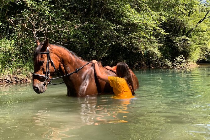 Horseback Riding Across River Ljuta with transport - Entering River Ljuta with your horse