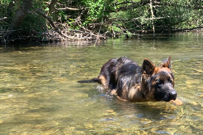 Horseback Riding Across River Ljuta with transport - Who should book this ride?