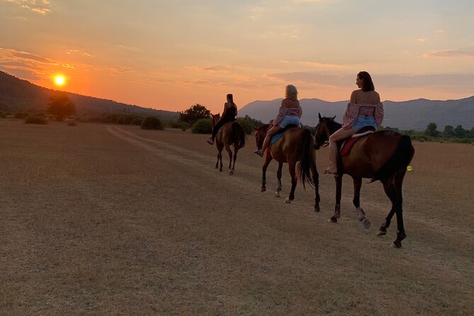 Horseback Riding Across River Ljuta with transport - Meeting the horses and settling into the ride