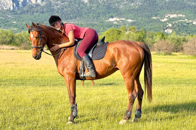 Horseback Riding Experience with transport from Dubrovnik - Meeting the horses at the Mali Raj ranch