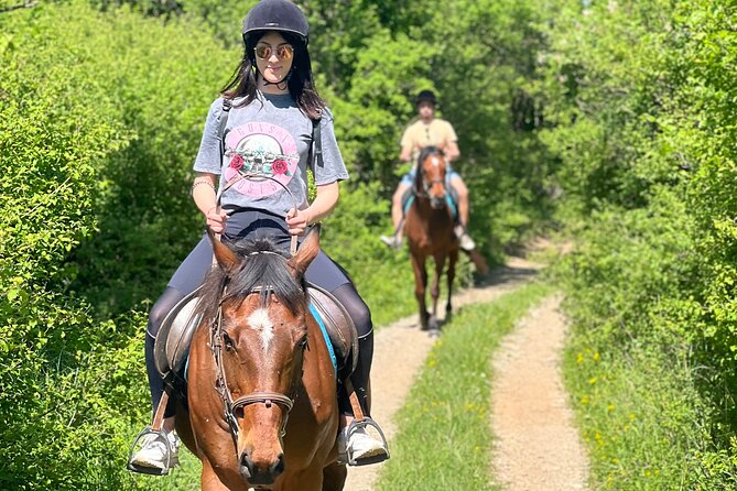 Horseback Riding Experience with transport from Dubrovnik - Timing, weather, and booking details
