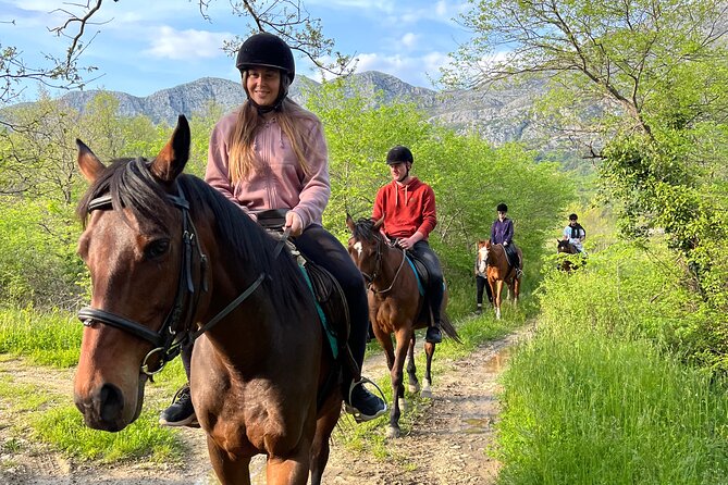 Horseback Riding Experience with transport from Dubrovnik - A 60-minute trail through fields and forest