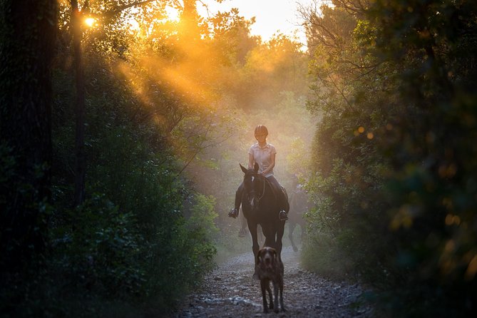 Horseback Riding in Konavle Region with Transport from Dubrovnik - From Dubrovnik to Kojan Koral