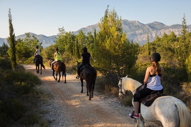 Horseback Riding in Konavle Region with Transport from Dubrovnik - A calm start for first-time riders