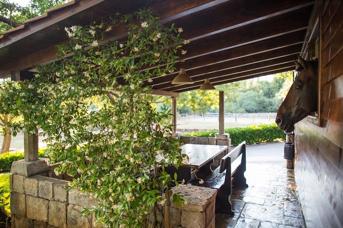 Horseback Riding in Konavle Region with Transport from Dubrovnik - Back at the ranch: sandwiches, wine, and animals