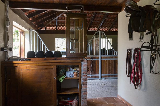 Horseback Riding in Konavle Region with Transport from Dubrovnik - What the $168.95 price really covers