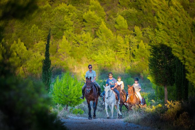 Horseback Riding in Konavle Region with Transport from Dubrovnik - Through Konavle forest and village paths