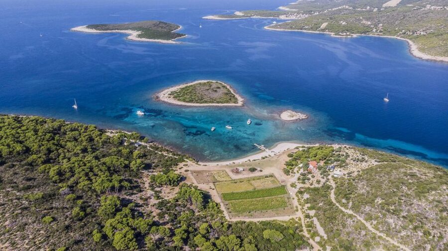 Hvar: Blue Cave, Green Cave & Stiniva Beach Speed Boat Tour - Guide quality can shape the whole day