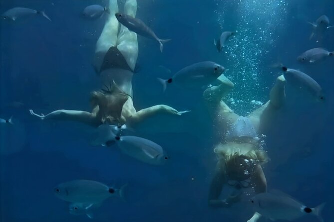 Hvar (Hidden Bays) & Brac (Golden Horn) PRIVATE full day tour - Zečevo: a blue lagoon after lunch
