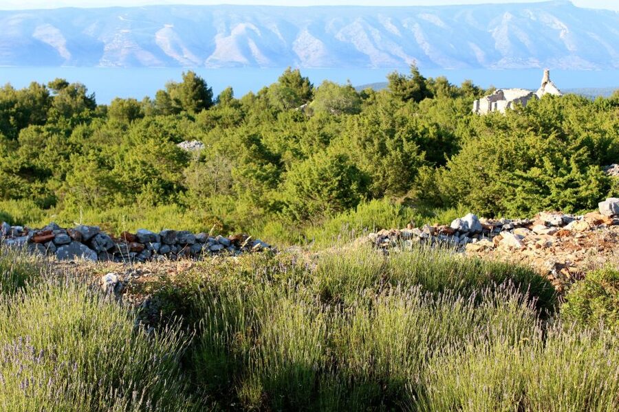 Hvar Hidden Gems Tour with Lunch or Dinner - Walking the stone lanes of Velo Grablje