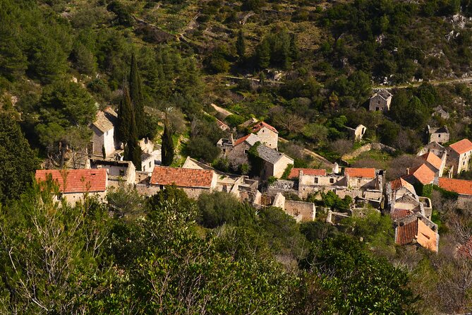 Hvar Lavender Tour - Who will enjoy this tour most