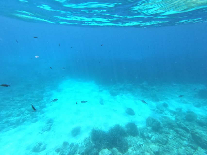 Hvar: Private Sailing Boat Trip with Swimming and Snorkeling - My practical verdict on the experience