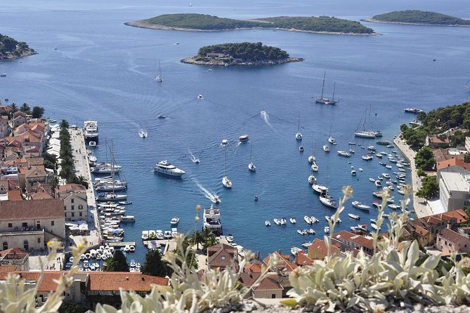 Hvar Private Walking Tour With A Professional Guide - Starting at St. Stephen’s Cathedral and Square