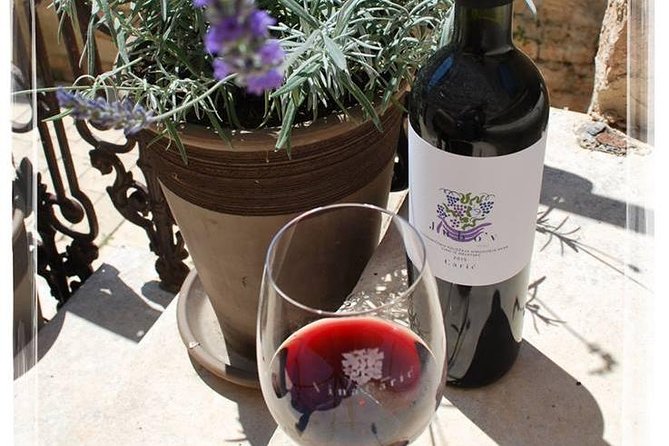 Hvar Small Group Wine Tour and Authentic Dalmatian Dinner - Jelsa and Vrboska add local color