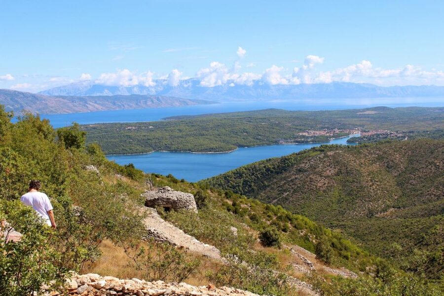 Hvar Wine Tour + Dalmatian Dinner - What the two tastings are like