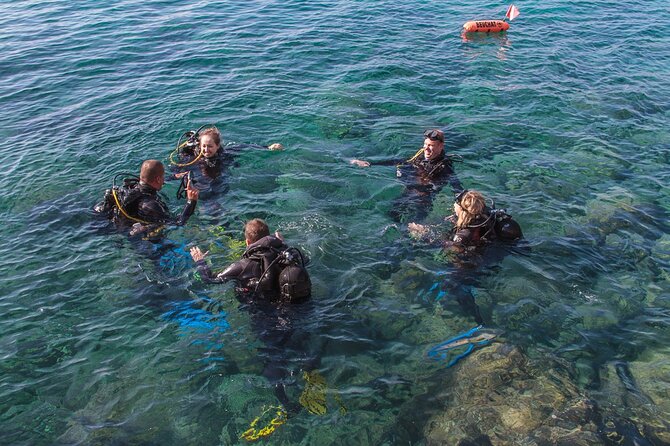 Intro Dive in Dubrovnik - A sensible first step into scuba