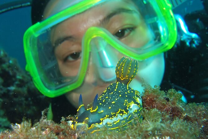 Intro Dive in Dubrovnik - Why a group of four makes a difference