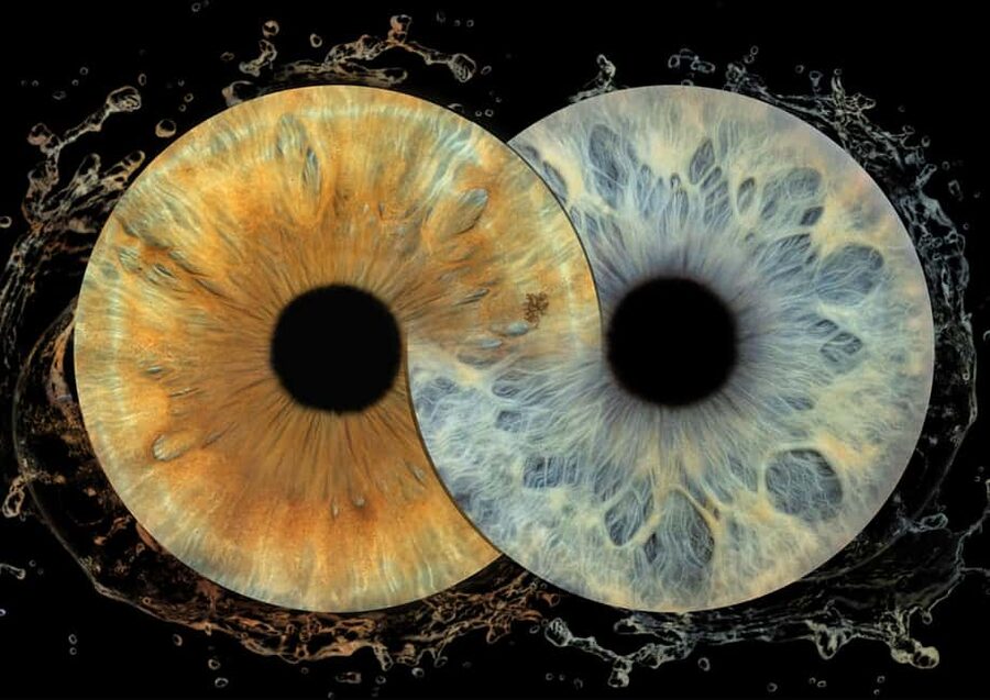 IRIS Photography (macro photo of your eye) - How the 10-minute session works