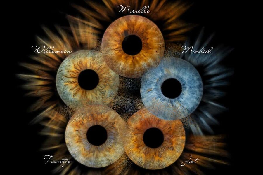 IRIS Photography (macro photo of your eye) - Finding Split Photo Agency near the Riva