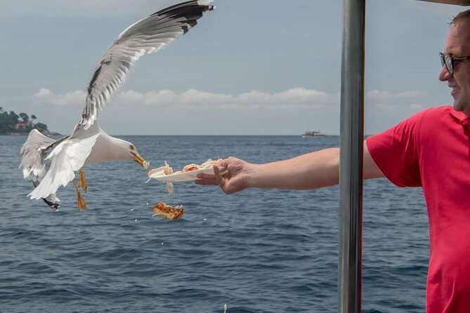 Island Hopping & City Walls Cruise with Food and Open Bar - Who should choose this island-hopping day