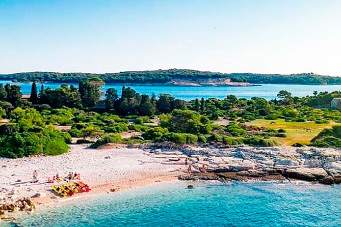 Island Visit National Park Brijuni & Dolphin Cruise - Seeing Brijuni National Park From the Sea