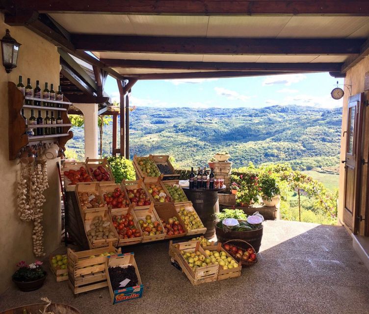 Istria: Guided Tour of Inner Istria with Food Tasting - Key points to know before booking