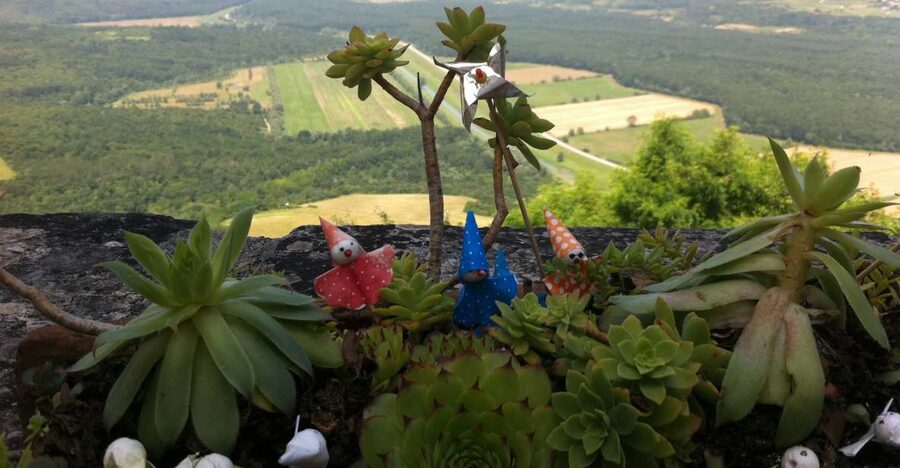 Istria: Guided Tour of Inner Istria with Food Tasting - Grožnjan, the artist village on the hill