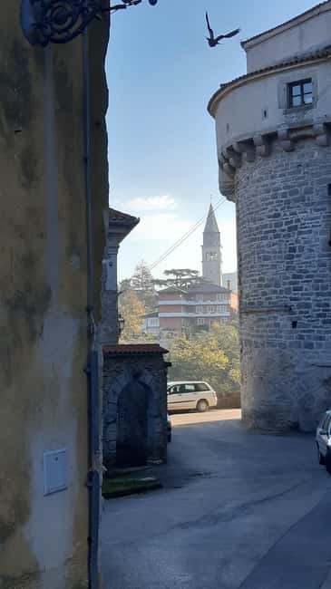 Istria: Guided Tour of Inner Istria with Food Tasting - The guide can make or break the day