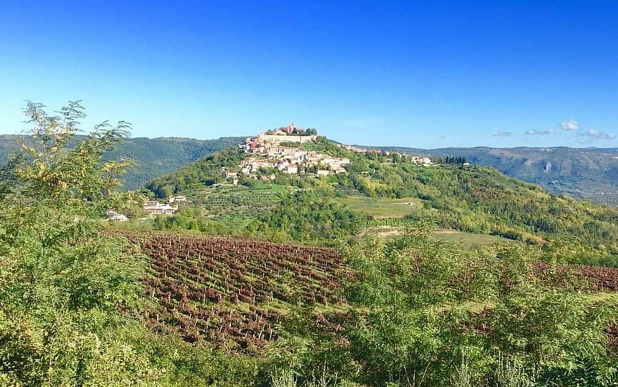 Istria: Guided Tour of Inner Istria with Food Tasting - Practical advice for a smoother day