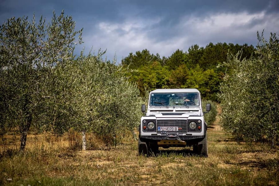 Istria: Land Rover Off-Road Adventure with Tastings - Who will enjoy this most?