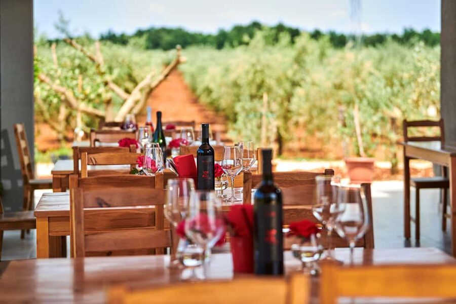 Istria: Pervino wine tasting - The cold cuts and olive oil break
