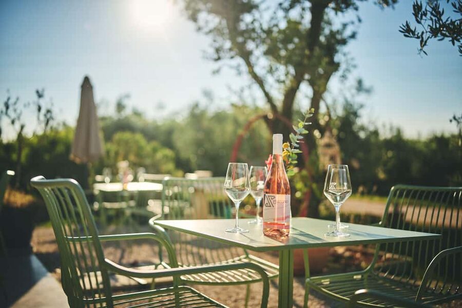 Istria: Pervino wine tasting - Dogs are welcome at Pervino