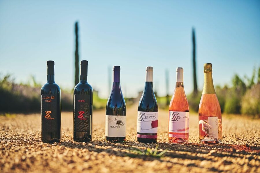 Istria: Pervino wine tasting - Booking details that matter