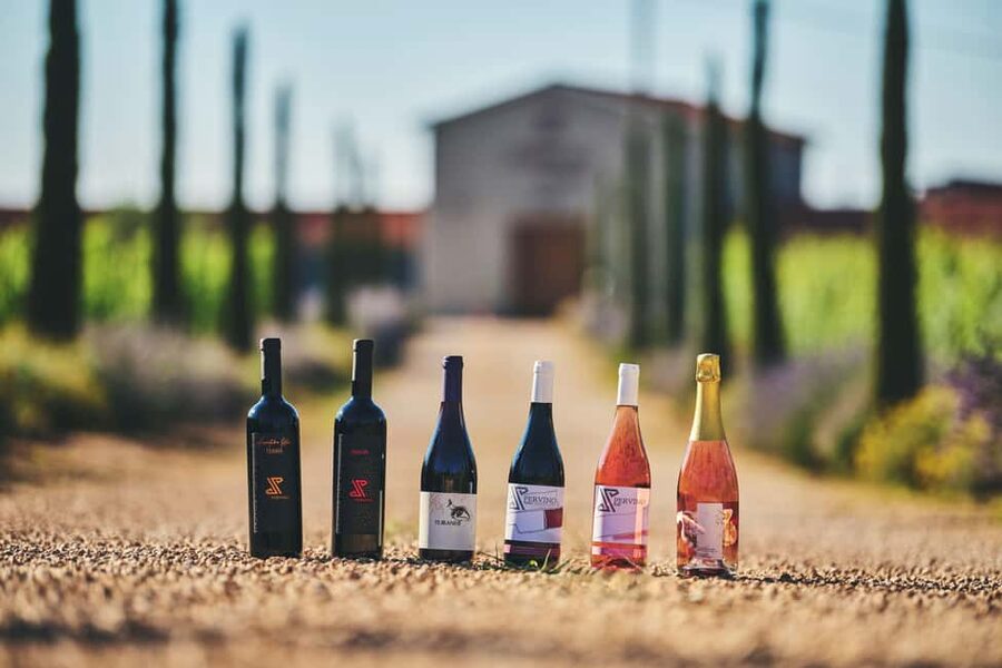 Istria: Pervino wine tasting - Local grapes beside familiar varieties