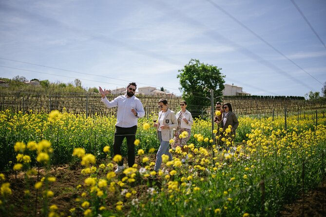 Istria Wine Tour from Rijeka and Opatija - What makes this Istria day special