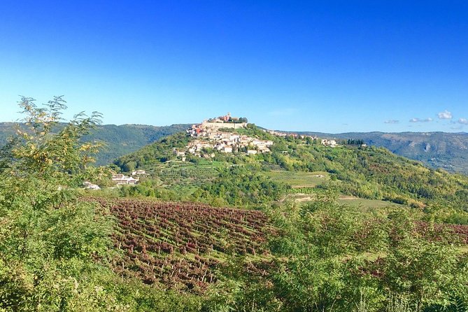 Istrian hill top cities tour with truffle and olive oil tasting - What the food tasting really includes