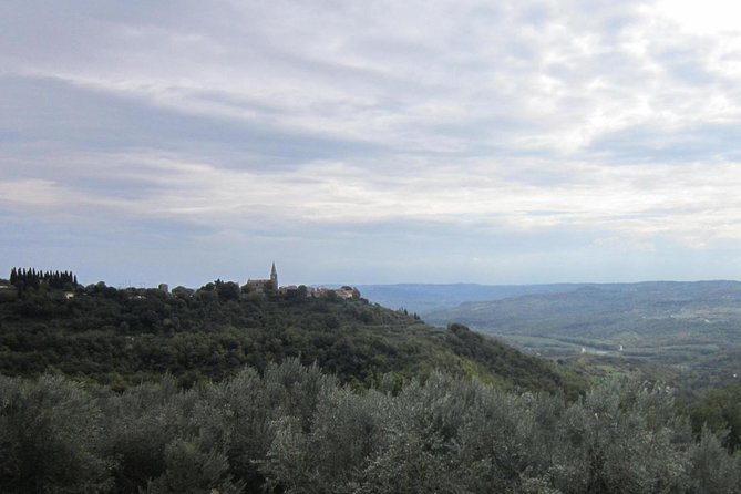 Istrian hill top cities tour with truffle and olive oil tasting - Is $116.78 a fair price?